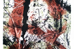 Lebensräume-Lithographie-02