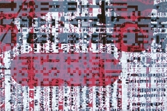 CIMG5009