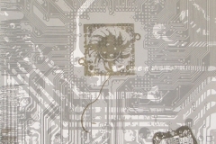 Lebensräume-Serigraphie-01