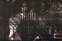 Lebensräume-Serigraphie-06